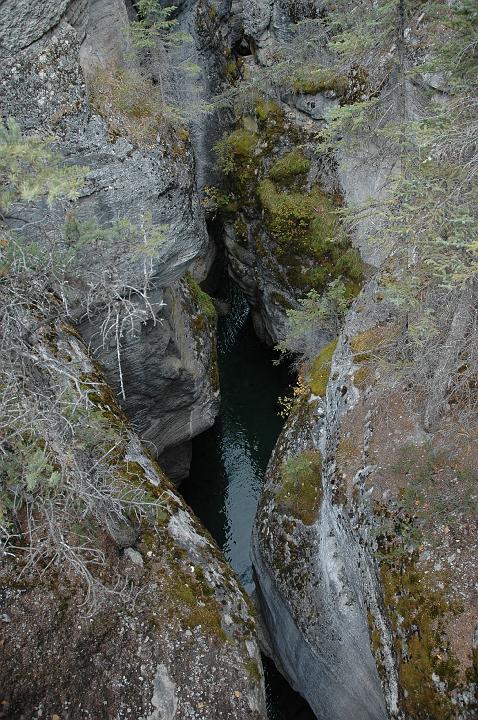 Canyon Maligne (7).JPG